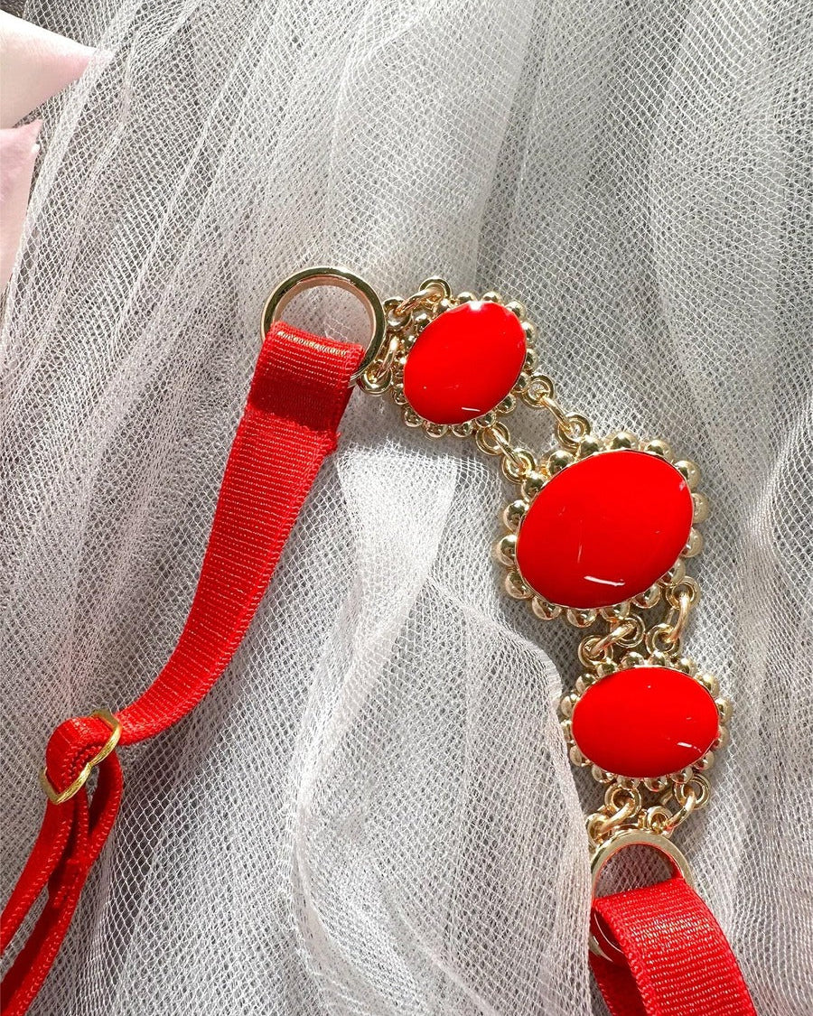 HelloLaGirlRed Embroidered Sexy Push Up Lingerie Set