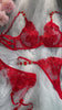 Red Embroidered Sexy Push Up Lingerie Set